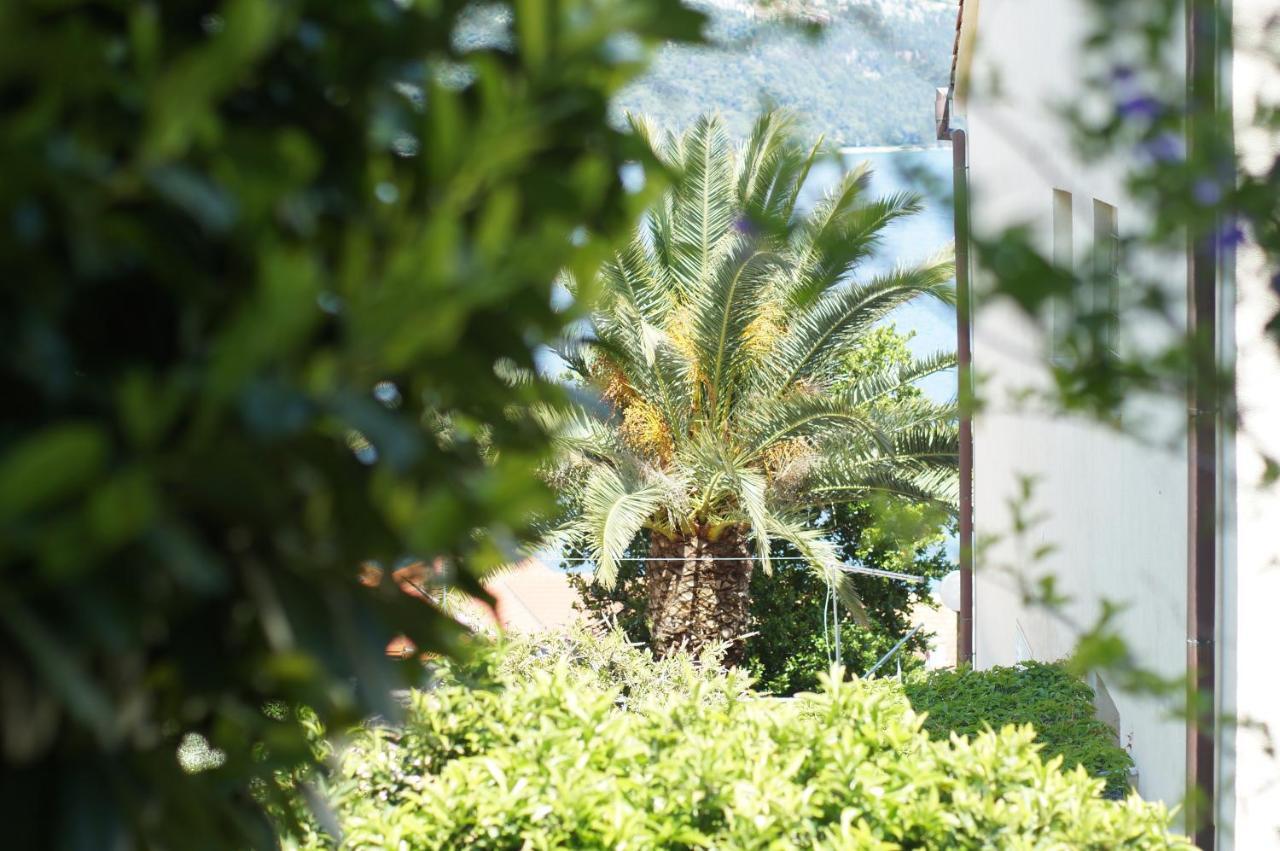 Oasis Blue Apartment Korcula Town Luaran gambar